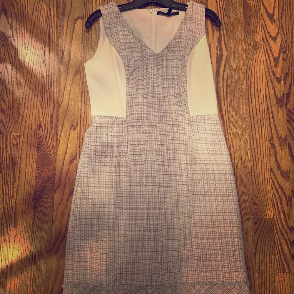 White House Black Market Light Purple Dress
